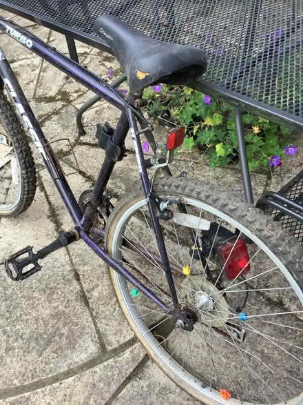 Photo of free Bike (Nast Hyde Farm AL10) #2