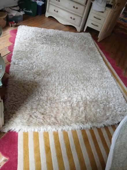 Photo of free Rug (TW12) #1
