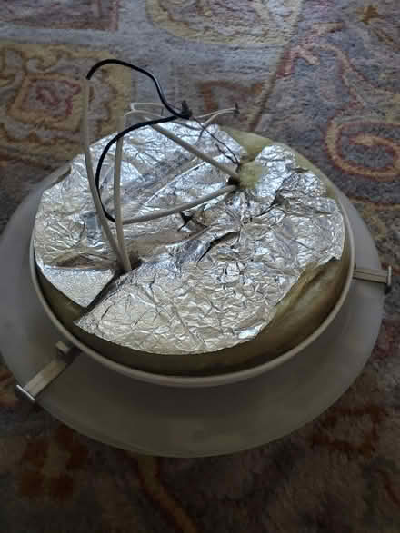 Photo of free Ceiling light (Takoma, DC) #2