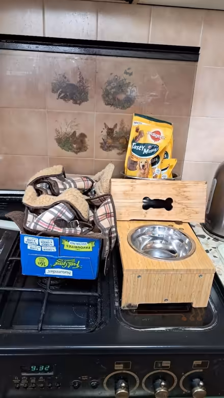 Photo of free Pet needs (EX2 hamilton avenue.) #2