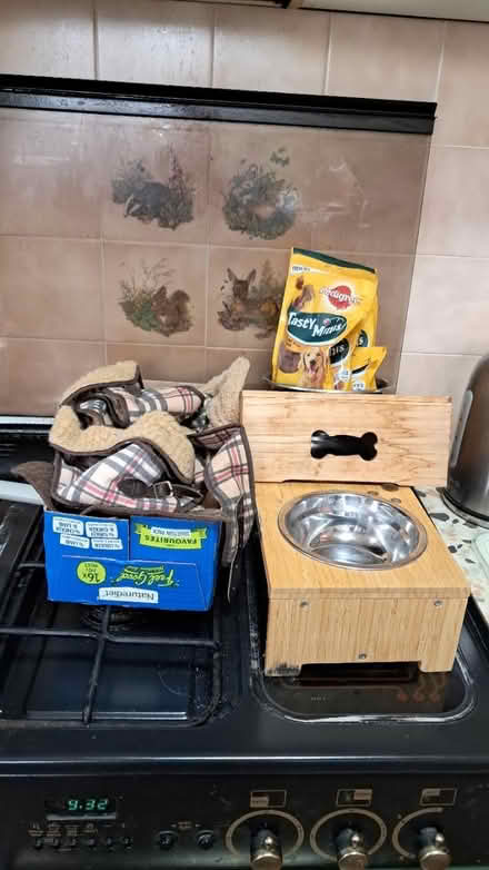 Photo of free Pet needs (EX2 hamilton avenue.) #2