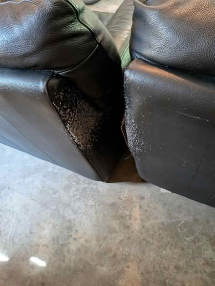 Photo of free matching couch and chair (Central Ann Arbor) #3