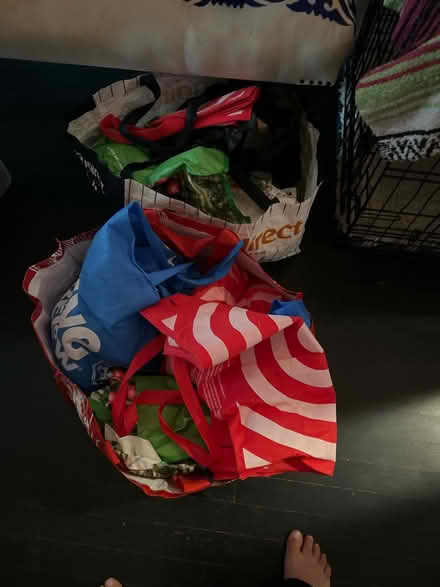 Photo of free Shopping bags - various (Flatbush, Brooklyn) #1