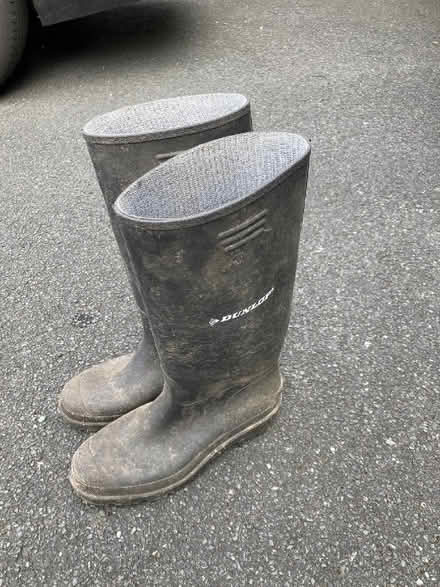 Photo of free Mens wellies size 9 (Oxon SY3) #1
