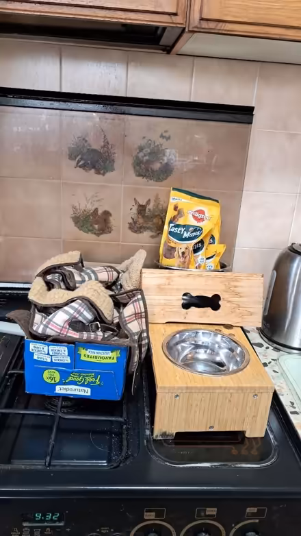 Photo of free Pet needs (EX2 hamilton avenue.) #1