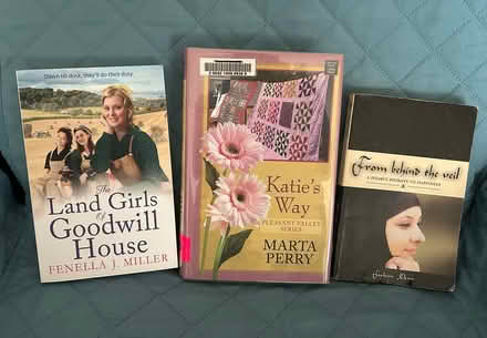 Photo of free 3 Books - Last Chance (Erin Mills) #1