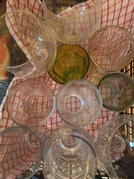 Photo of free Glasses for summertime (Kingsley Park) #2