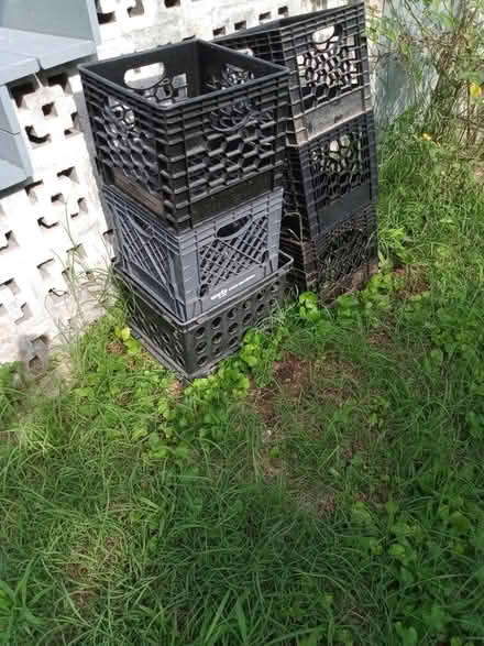 Photo of free 6 milk crates (Mt Rainier MD) #1