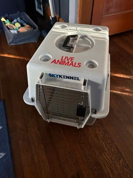Photo of free Pet taxi (Wood-Ridge) #2