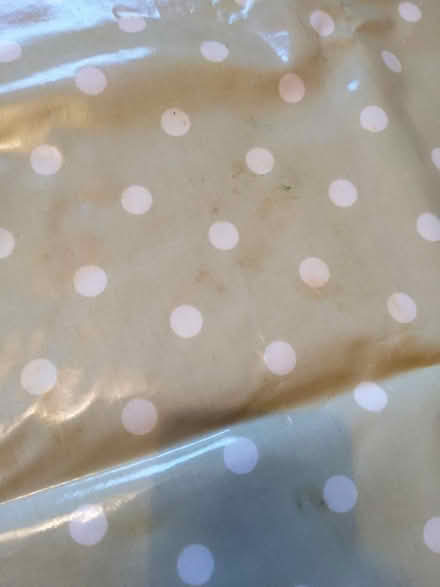 Photo of free Wipe clean tablecloth (Staplehurst TN12) #2