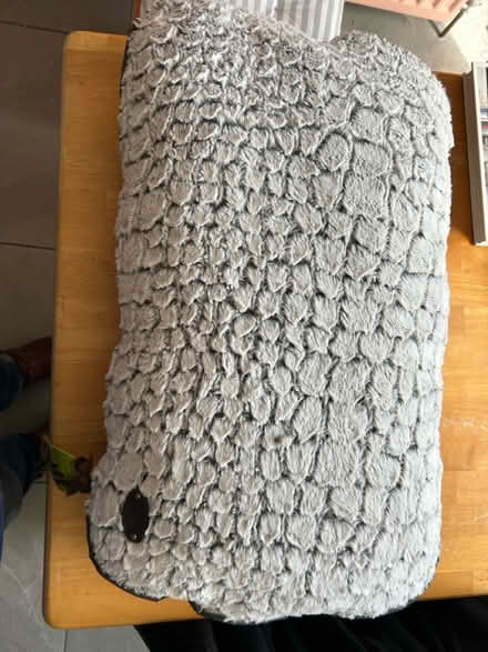 Photo of free Wainwright Dog Cushion (Home BT30) #1