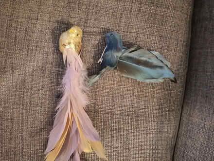 Photo of free 2 small bird decorations (East Village E20) #1