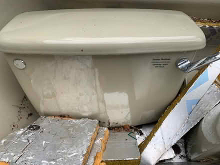Photo of free Bathroom suite (Presteigne LD8) #4