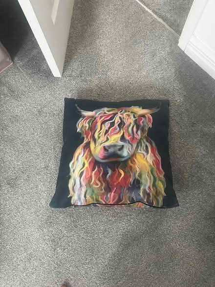 Photo of free Next highland cow cushion (Chelmer Village CM2) #1