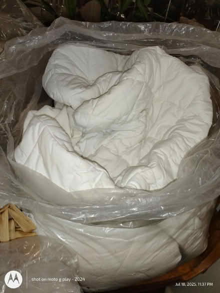 Photo of free Mattress Pad (Bronx, 10473) #1