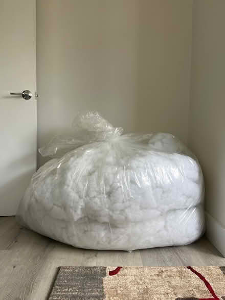 Photo of free Polyester fiber fill (Lower Haight) #1