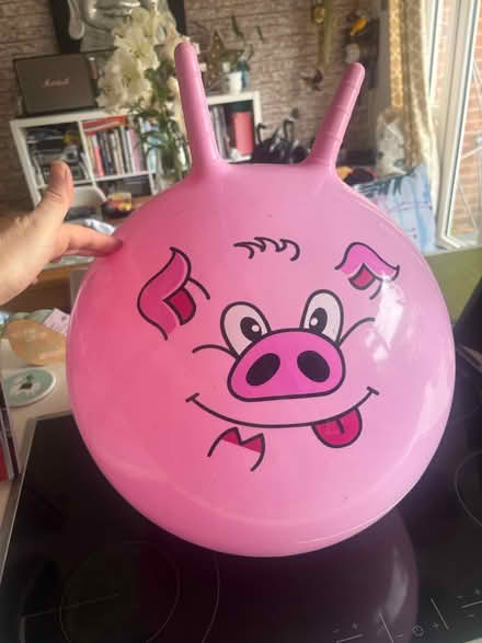 Photo of free Pig hopper (Warrington WA4) #1