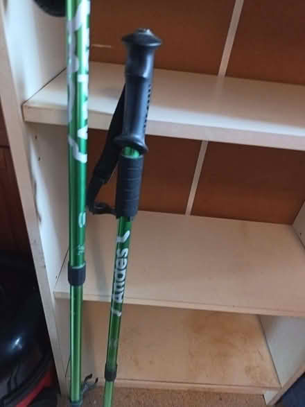 Photo of free Walking poles (Kingsley Park) #1
