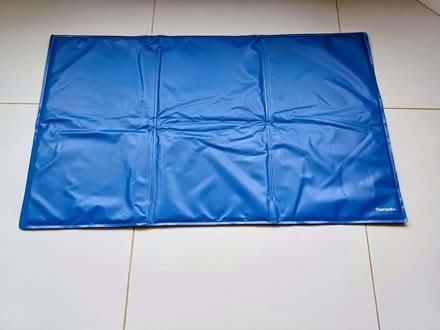 Photo of free Large Dog Cooling Mat (Neville's Cross DH1) #1