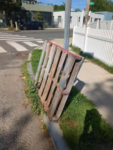 Photo of free Wood pallet (East Arlington) #1