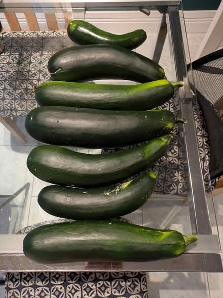 Photo of free 7 Marrows (Roffey) #1