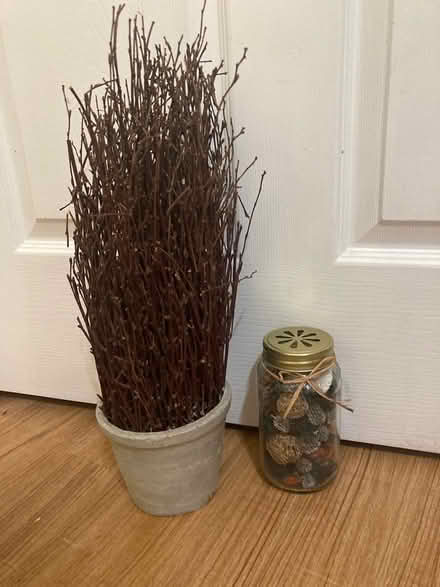 Photo of free Reed plant & Potpourri Jar (Scaggsville) #1