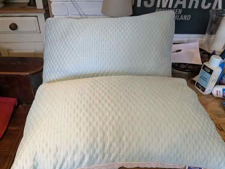 Photo of free 2 brand new standard sized pillows (Chapmanslade BA13) #2