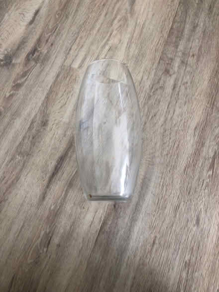 Photo of free Clear Flower Vase (South End) #2