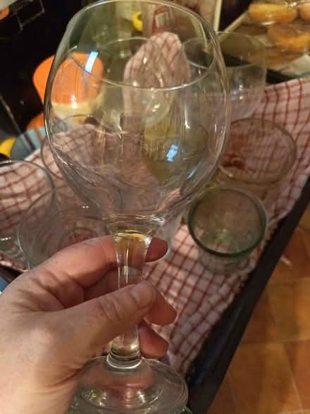 Photo of free Glasses for summertime (Kingsley Park) #1
