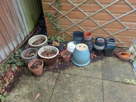 Photo of free Plant Pots (C079FF CO7) #1