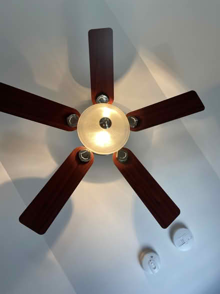Photo of free 2 Hunter ceiling fans with light (Arlington) #2