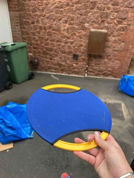 Photo of free Garden throwing game (Dawlish Devon EX7) #2