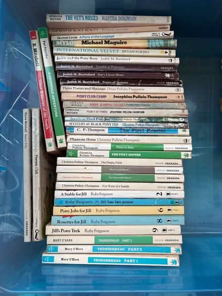 Photo of free Children’s pony books (Far Bletchley MK3) #1