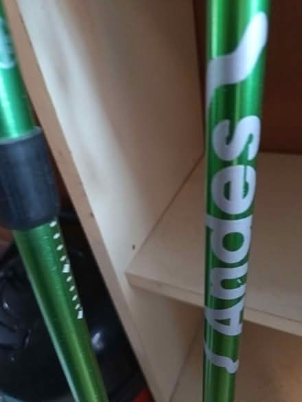 Photo of free Walking poles (Kingsley Park) #3