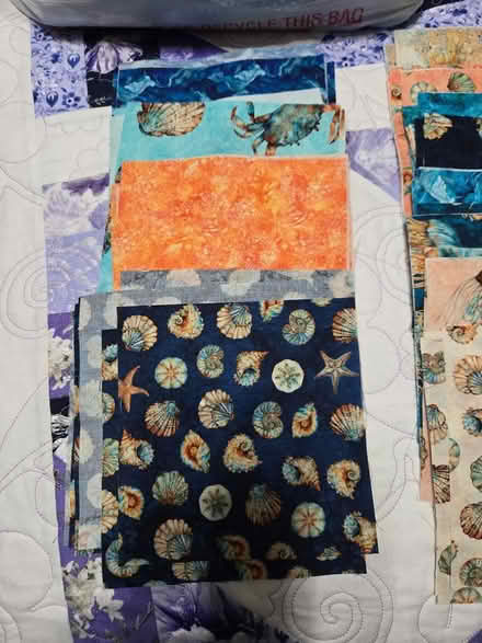 Photo of free cotton fabric leftovers (off Fisher Blvd) #4