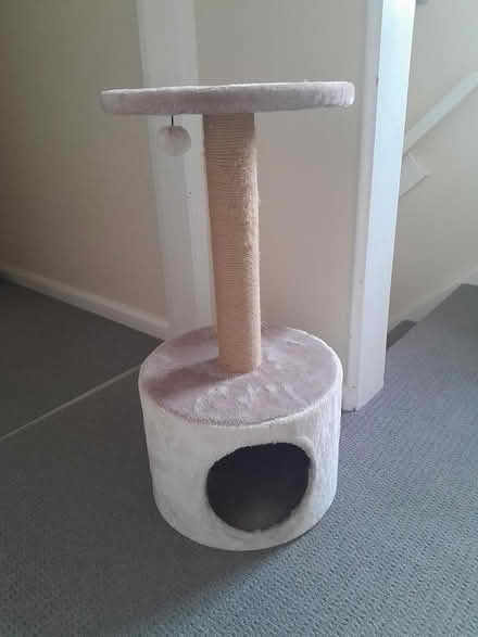 Photo of free Cat tree (Crich DE4) #1