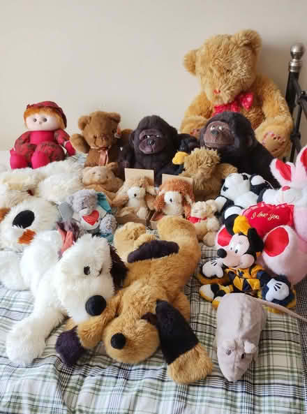 Photo of free Collection of soft toys (Butterwick PE22) #1