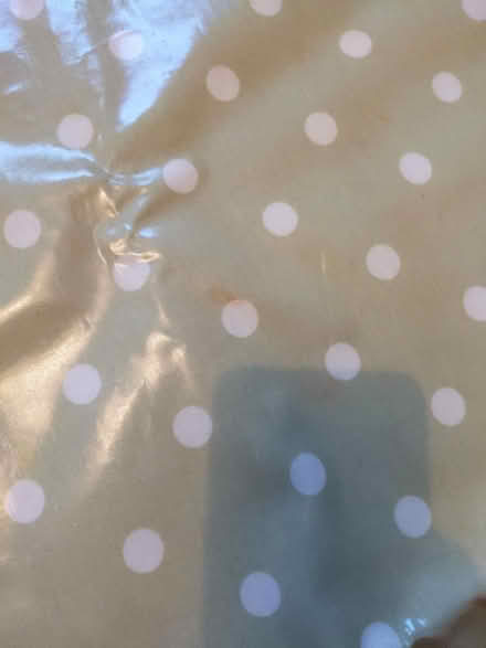 Photo of free Wipe clean tablecloth (Staplehurst TN12) #3