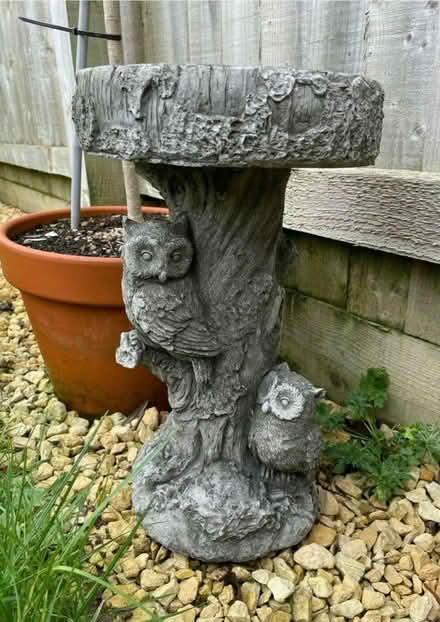 Photo of Bird bath (CH43 prenton) #1