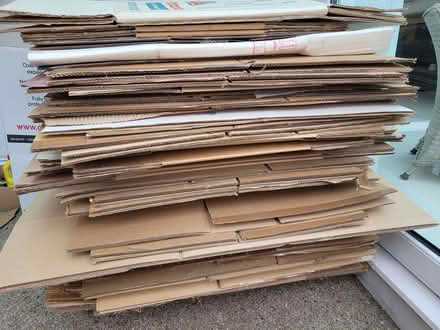 Photo of free Cardboard packaging boxes (St Austell PL25) #2