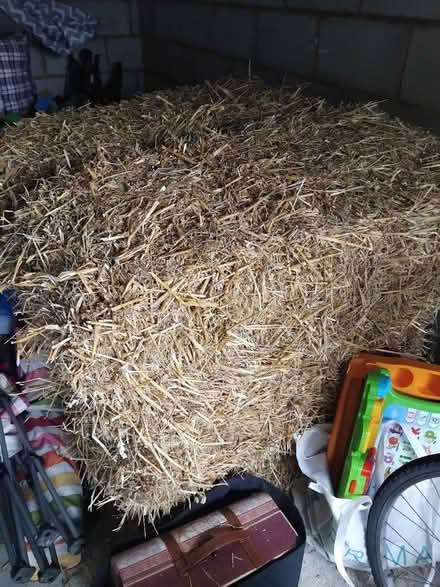 Photo of free Six straw bales (Kemsley Sittingbourne ME10) #1