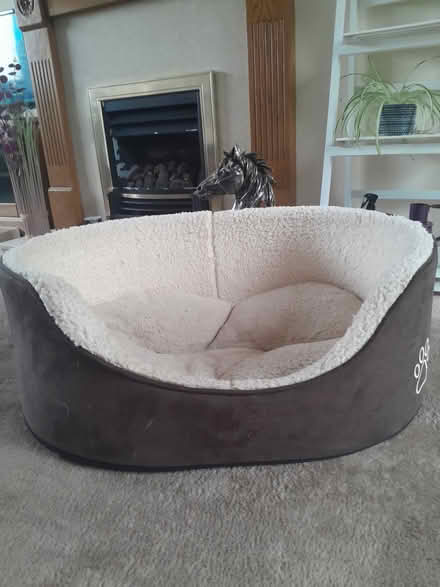 Photo of free Dog bed (Crich DE4) #2