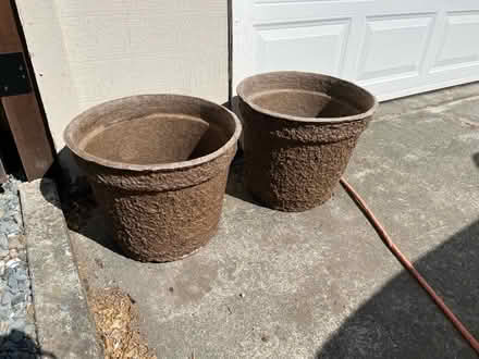 Photo of free Pressed cardboard pots (Downtown Mountain View) #1