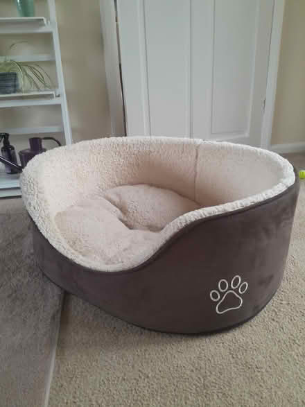 Photo of free Dog bed (Crich DE4) #1