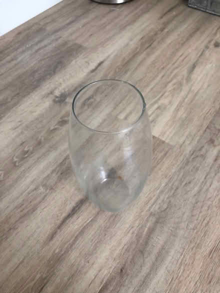 Photo of free Clear Flower Vase (South End) #1