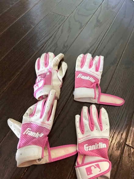 Photo of free Softball/baseball bag and gloves (Flemington, NJ) #1