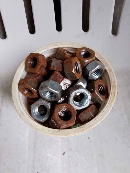 Photo of free Nuts, 12mm (Bucknell SY7) #1