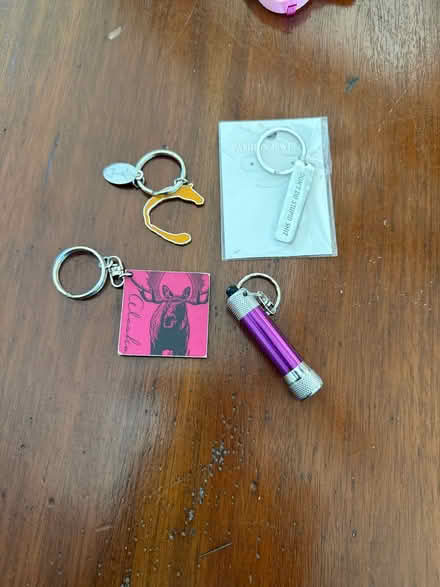 Photo of free Key chains (95070) #1