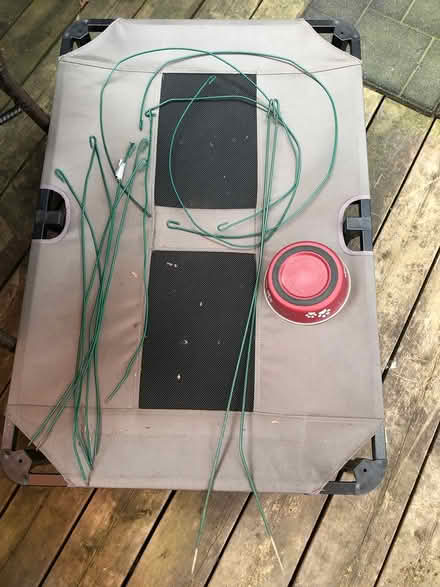 Photo of free Plant supports—various types (Walkley/Heron) #1