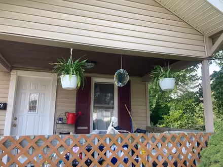 Photo of free Spider Plants & Geranium Cuttings (Ypsilanti Township) #2